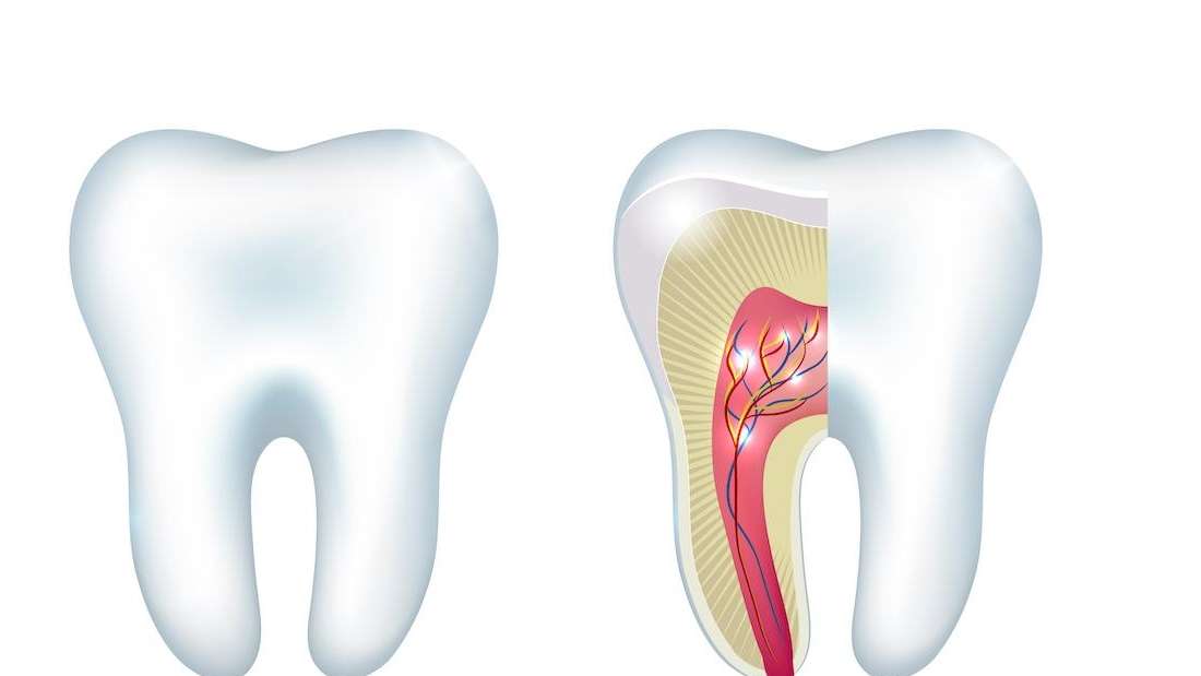 When Do You Need a Root Canal? Root Canals Fort Collins CO